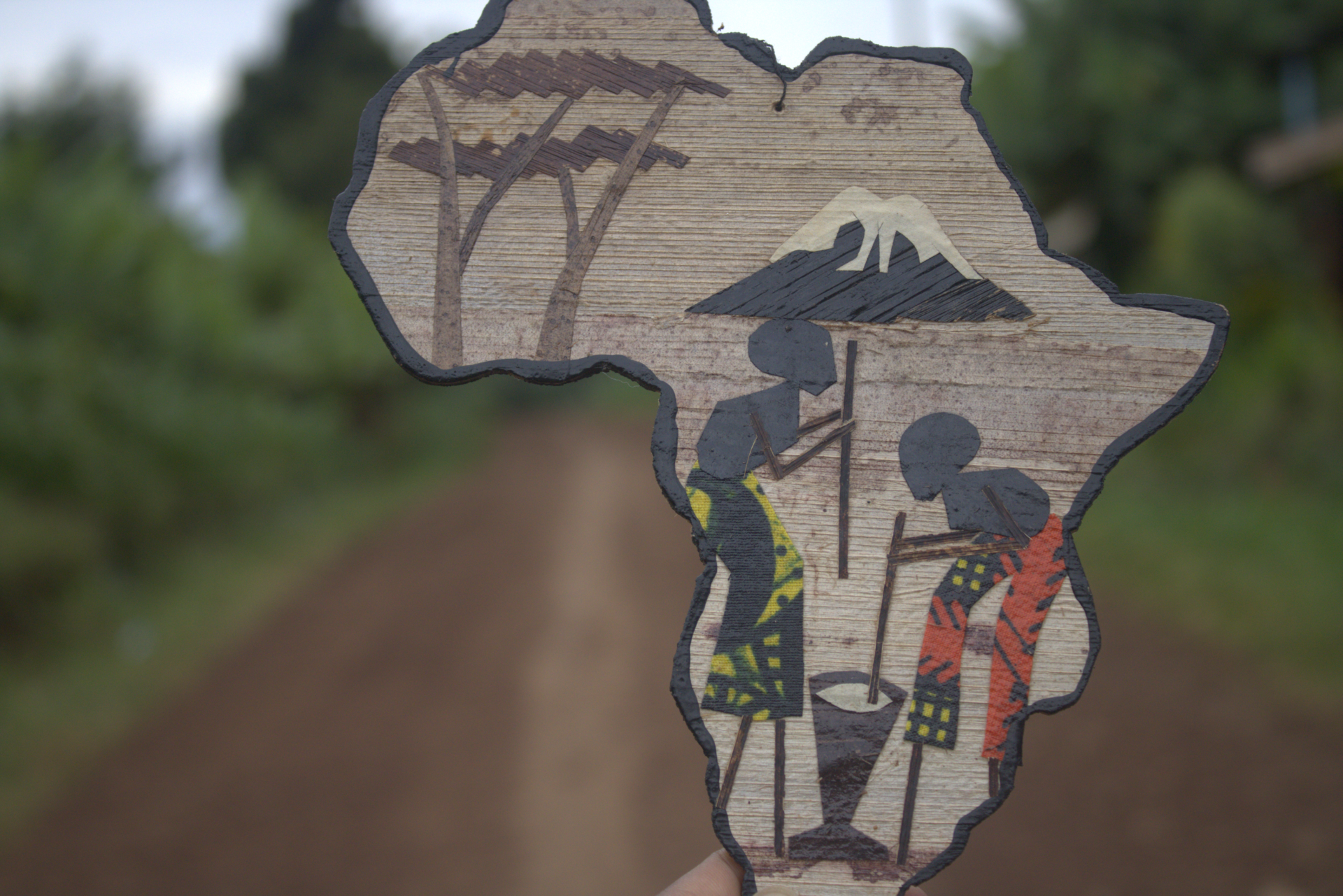 The Beauty of Africa